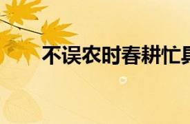 不误农时春耕忙具体详细内容是什么