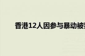 香港12人因参与暴动被判监禁具体详细内容是什么