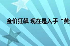 金价狂飙 现在是入手“黄金期”吗具体详细内容是什么