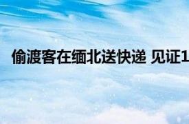 偷渡客在缅北送快递 见证100种逃亡具体详细内容是什么