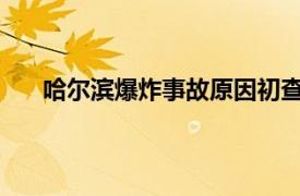 哈尔滨爆炸事故原因初查系人为具体详细内容是什么