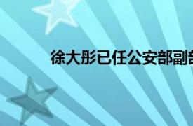 徐大彤已任公安部副部长具体详细内容是什么