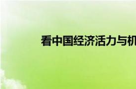 看中国经济活力与机遇具体详细内容是什么