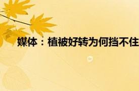 媒体：植被好转为何挡不住漫天黄沙?具体详细内容是什么