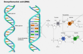 快速且低成本的计算方法可以监测抗生素耐药性随时间的传播