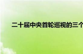 二十届中央首轮巡视的三个特殊安排具体详细内容是什么