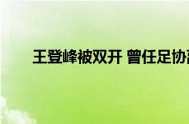 王登峰被双开 曾任足协副主席具体详细内容是什么