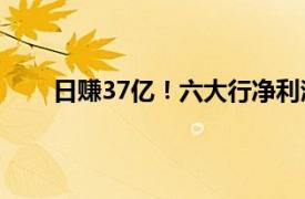 日赚37亿！六大行净利润齐增具体详细内容是什么