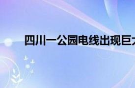 四川一公园电线出现巨大火团具体详细内容是什么