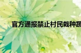 官方通报禁止村民栽种蔬菜瓜果具体详细内容是什么