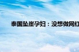 泰国坠崖孕妇：没想做网红也不差钱具体详细内容是什么