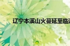 辽宁本溪山火蔓延至临近村庄具体详细内容是什么