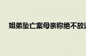 姐弟坠亡案母亲称绝不放过叶诚尘具体详细内容是什么