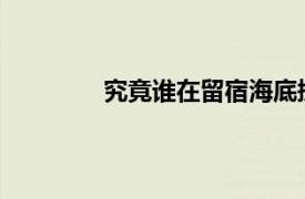 究竟谁在留宿海底捞具体详细内容是什么