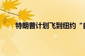 特朗普计划飞到纽约“自首”具体详细内容是什么