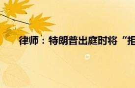 律师：特朗普出庭时将“拒不认罪”具体详细内容是什么