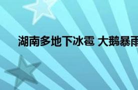 湖南多地下冰雹 大鹅暴雨中被砸具体详细内容是什么