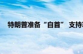 特朗普准备“自首” 支持率却涨了具体详细内容是什么