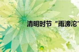 清明时节“雨滂沱”具体详细内容是什么