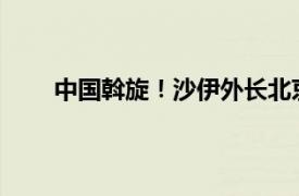 中国斡旋！沙伊外长北京会晤具体详细内容是什么