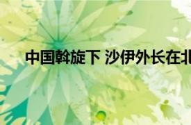 中国斡旋下 沙伊外长在北京会晤具体详细内容是什么