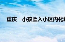 重庆一小孩坠入小区内化粪池溺亡具体详细内容是什么