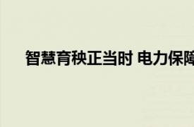 智慧育秧正当时 电力保障助春耕具体详细内容是什么