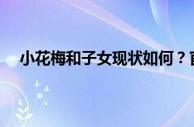 小花梅和子女现状如何？官方解答具体详细内容是什么