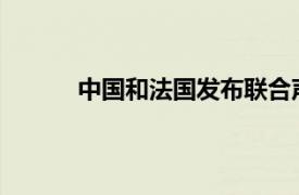 中国和法国发布联合声明具体详细内容是什么