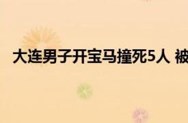 大连男子开宝马撞死5人 被执行死刑具体详细内容是什么