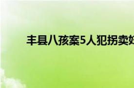 丰县八孩案5人犯拐卖妇女罪具体详细内容是什么