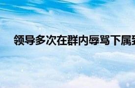 领导多次在群内辱骂下属致其抑郁具体详细内容是什么