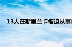 13人在斯里兰卡被迫从事诈骗获救具体详细内容是什么