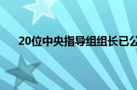 20位中央指导组组长已公开亮相具体详细内容是什么