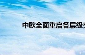 中欧全面重启各层级交往具体详细内容是什么