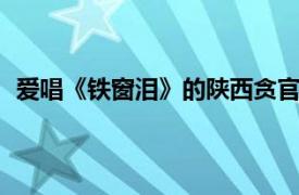 爱唱《铁窗泪》的陕西贪官贪腐20年具体详细内容是什么