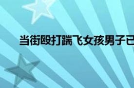 当街殴打踹飞女孩男子已被刑拘具体详细内容是什么