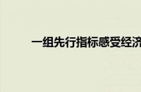 一组先行指标感受经济活力具体详细内容是什么