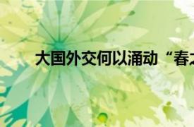 大国外交何以涌动“春之潮”具体详细内容是什么