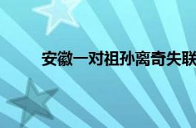 安徽一对祖孙离奇失联10天具体详细内容是什么