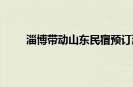 淄博带动山东民宿预订涨3倍具体详细内容是什么