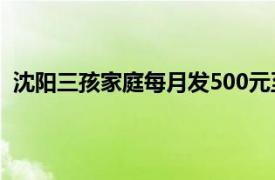 沈阳三孩家庭每月发500元至孩子3岁具体详细内容是什么