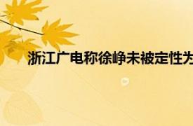 浙江广电称徐峥未被定性为劣迹艺人具体详细内容是什么