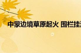 中蒙边境草原起火 围栏挂满羊焦尸具体详细内容是什么