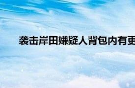 袭击岸田嫌疑人背包内有更多爆炸物具体详细内容是什么