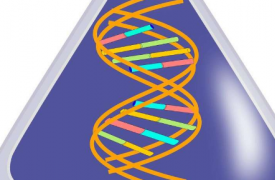 新型特定 RNA 可以解释女性抑郁易感性增加