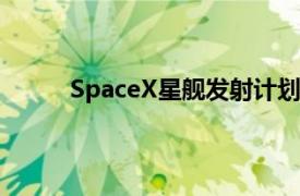 SpaceX星舰发射计划推迟具体详细内容是什么