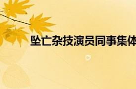 坠亡杂技演员同事集体维权具体详细内容是什么