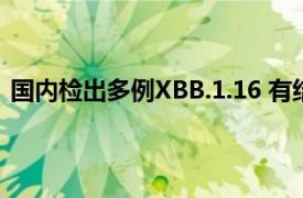 国内检出多例XBB.1.16 有结膜炎症状具体详细内容是什么