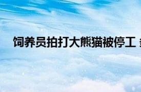 饲养员拍打大熊猫被停工 多人求情具体详细内容是什么